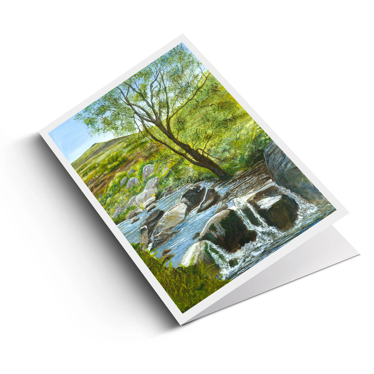 Callisto Lace Smooth 350gsm (Pack of 24)