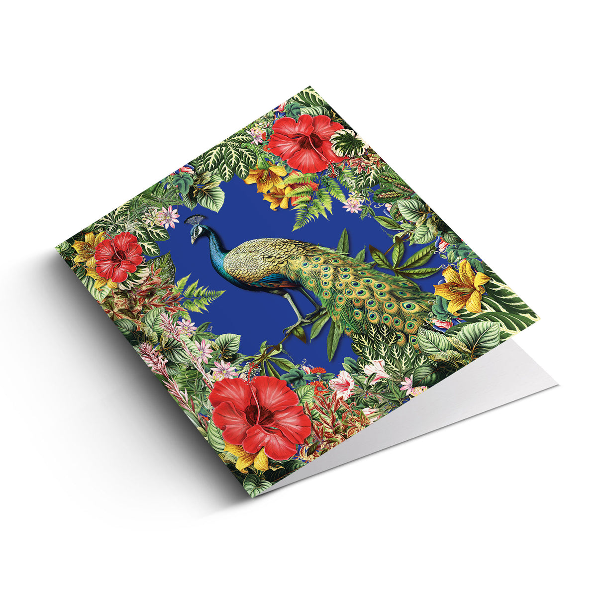 Callisto Lace Smooth 350gsm (Pack of 24)