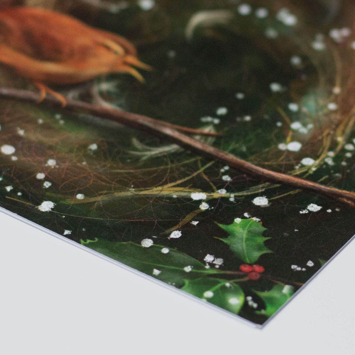 Callisto Lace Smooth 350gsm (Pack of 24)