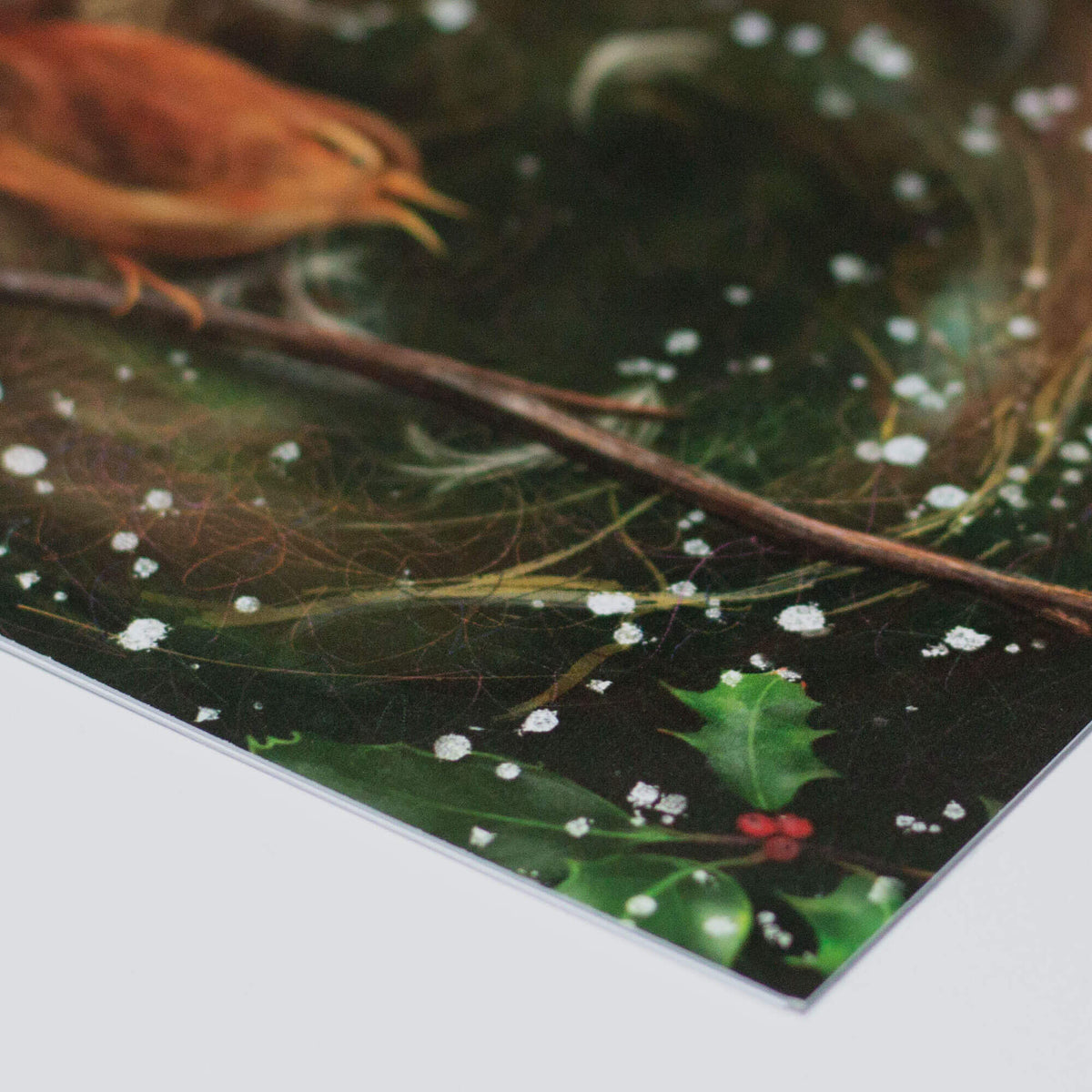 Printspeed Smooth White 350gsm (Pack of 24)